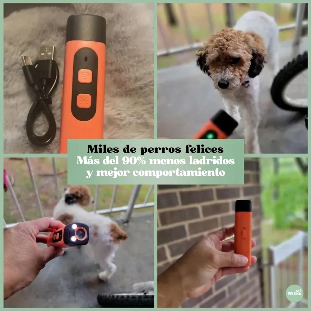 Veluna CalmPro para Perros