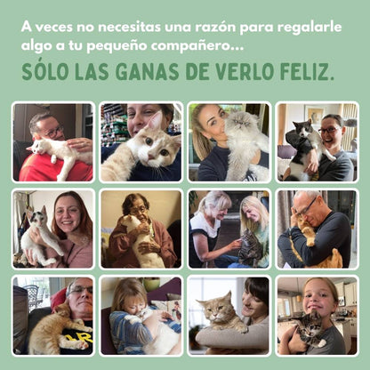 Juguete Interactivo en Forma de Pájaro para Gatos