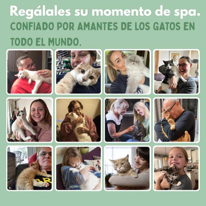 Veluna Juguete Interactivo de Ratón para Gatos