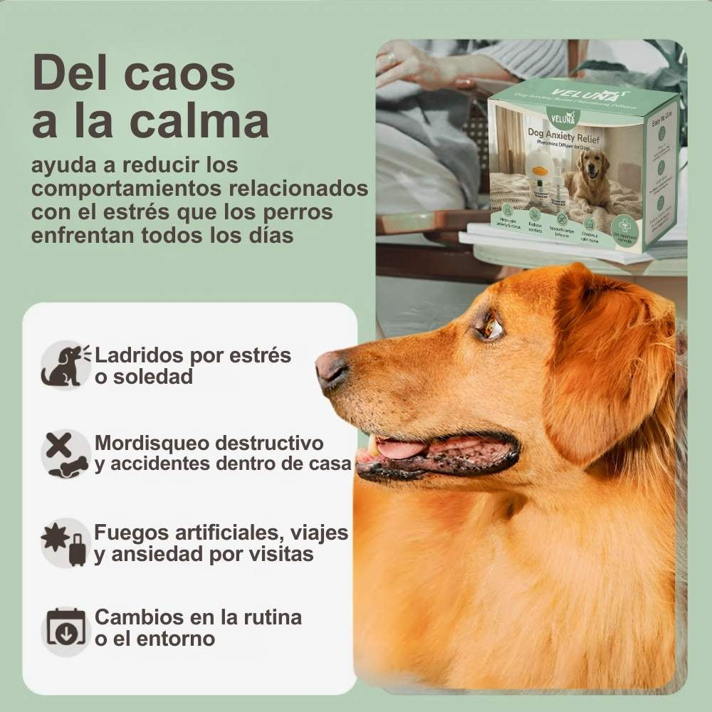 Difusor de Feromonas Veluna para Perros