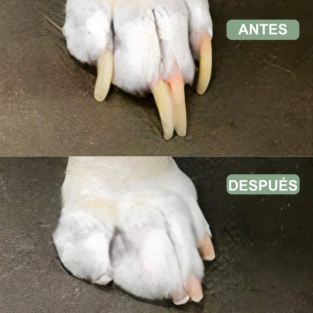 Veluna GroomPro para Perros