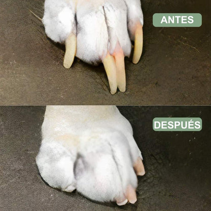 Veluna GroomPro para Perros