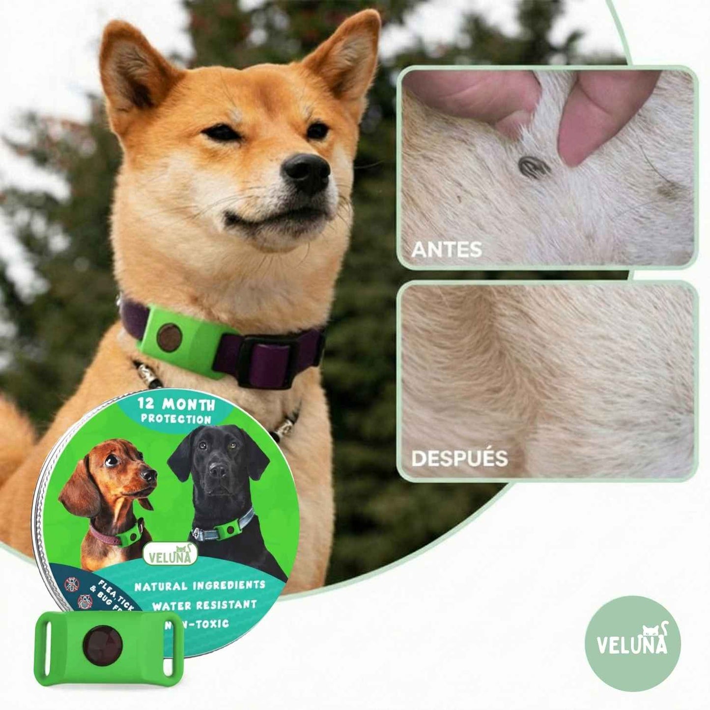 Collar Veluna antipulgas y garrapatas