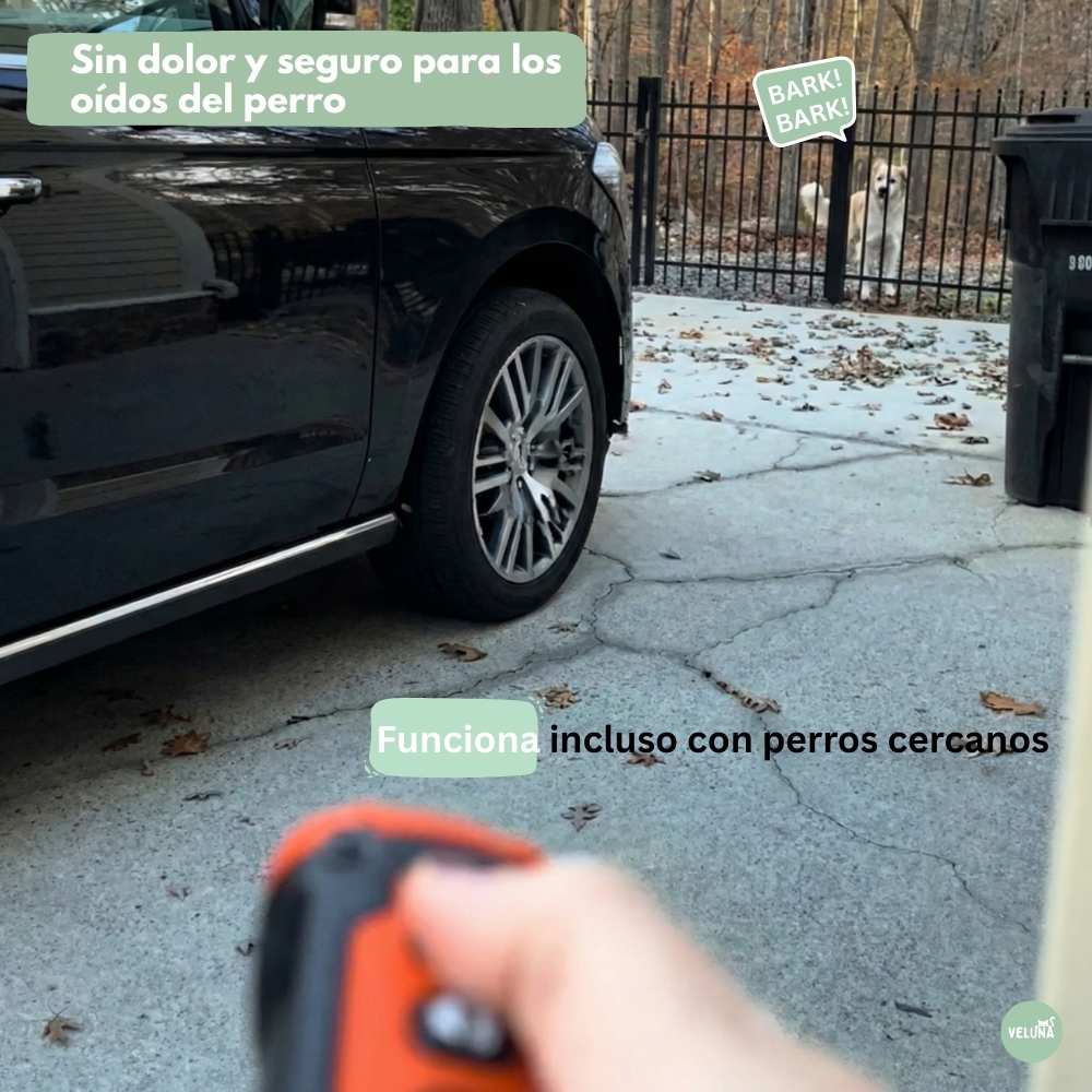 Veluna CalmPro para Perros