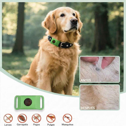Collar Veluna antipulgas y garrapatas
