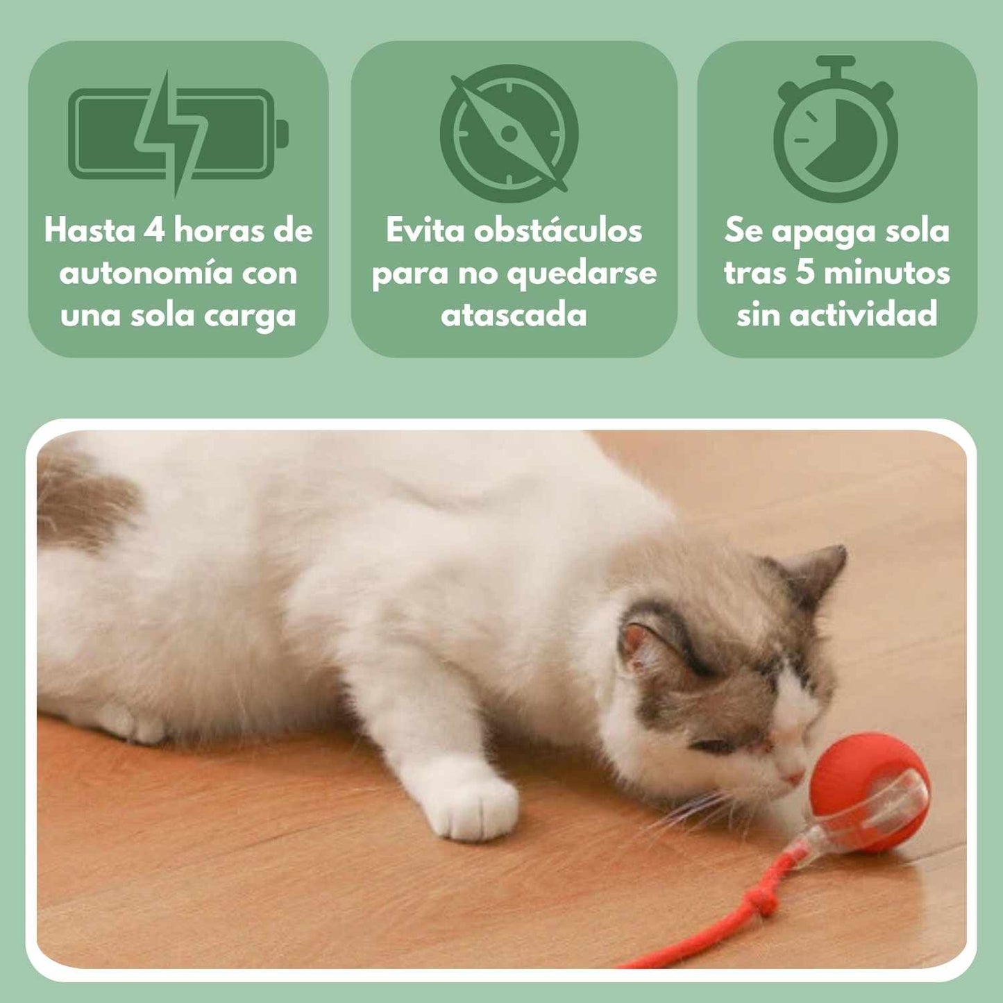 Smart Ball