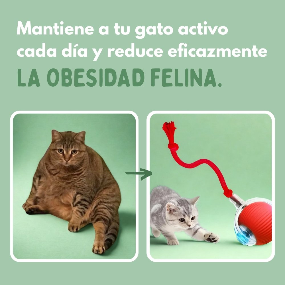 Veluna PelotaViva para Gatos