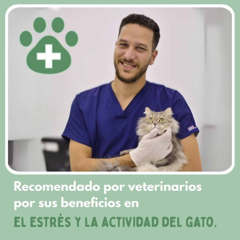 Veluna PelotaViva para Gatos