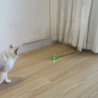 Veluna PelotaViva para Gatos
